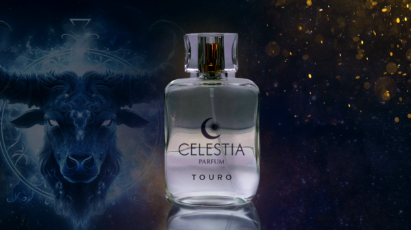 Touro Perfume Masculino 100ML